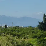 Terre E Torri Country * Lascari